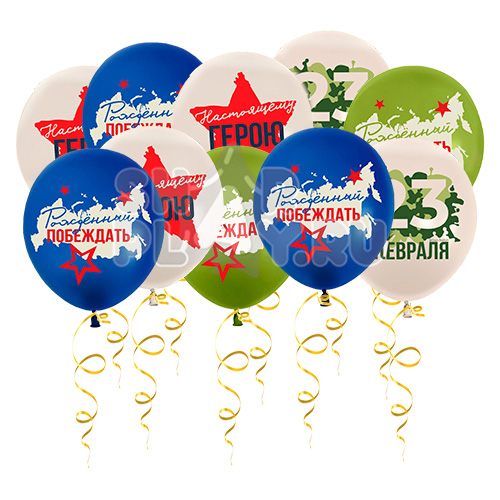 Шары под потолок День Защитника Отечества/23 Февраля (30 см)