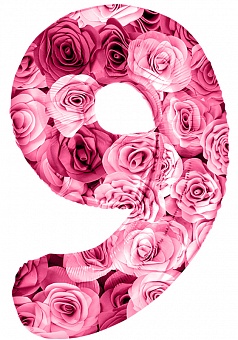 Фольгированная цифра 9 Розы, слим (102 см)