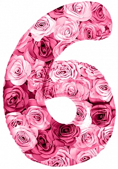 Фольгированная цифра 6 Розы, слим (102 см)