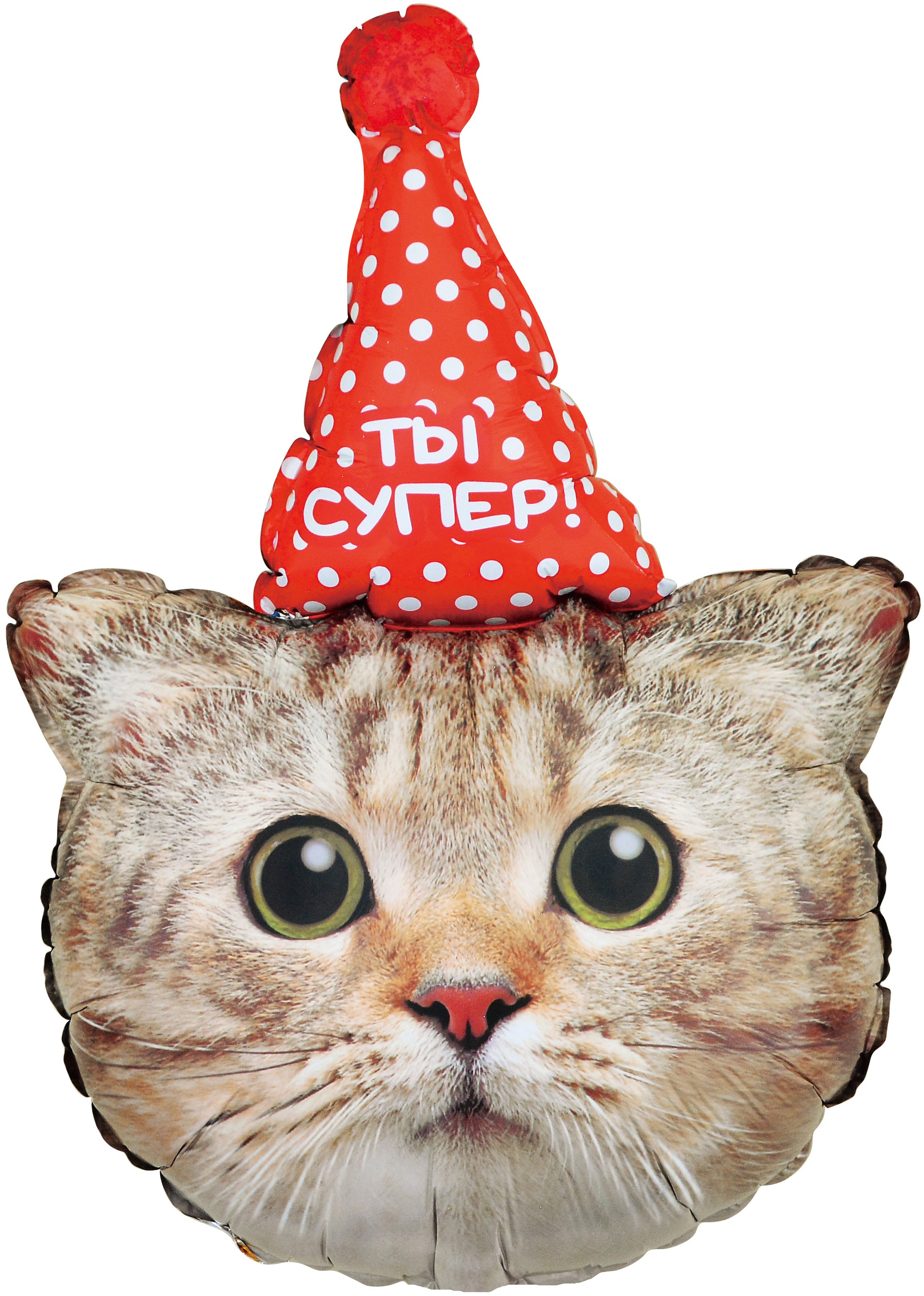 Фольгированный котёнок в колпачке шарик (81 см)