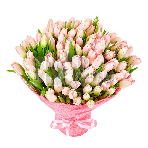 Букет нежно-розовых тюльпанов