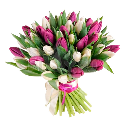 Букет фиолетовых и белых тюльпанов