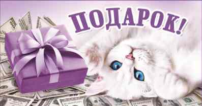 Конверты для денег, Подарок! (белый котенок), 10 шт.