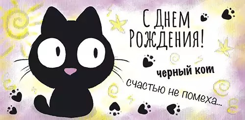 Конверты для денег, С Днем Рождения! (черный котик), с блестками, 10 шт.